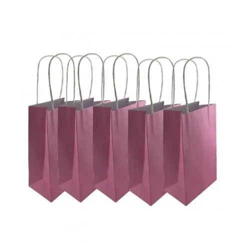 5pk Pastel Pink Paper Party Gift Bags