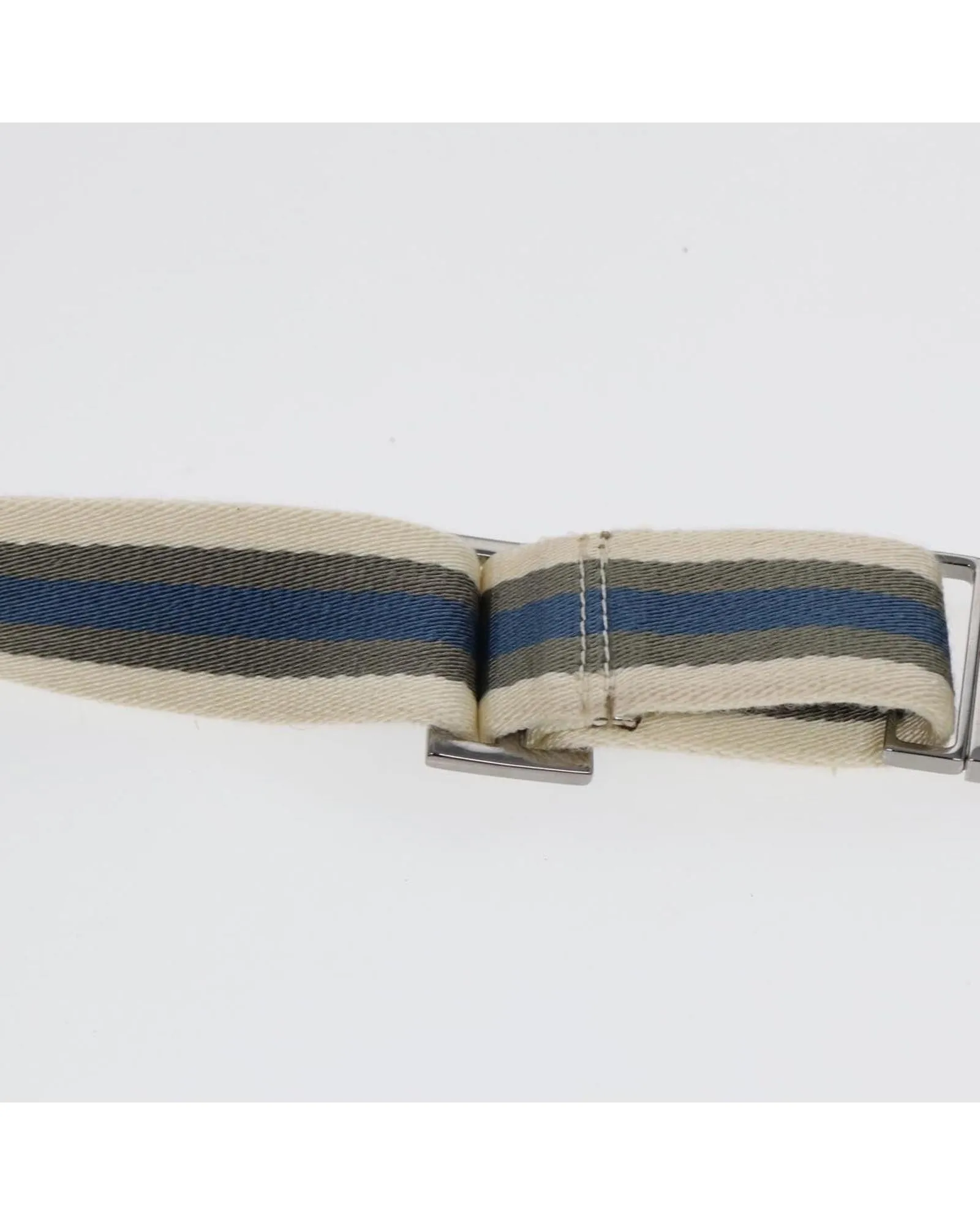 GG Canvas Waist Bag with Silver Accents