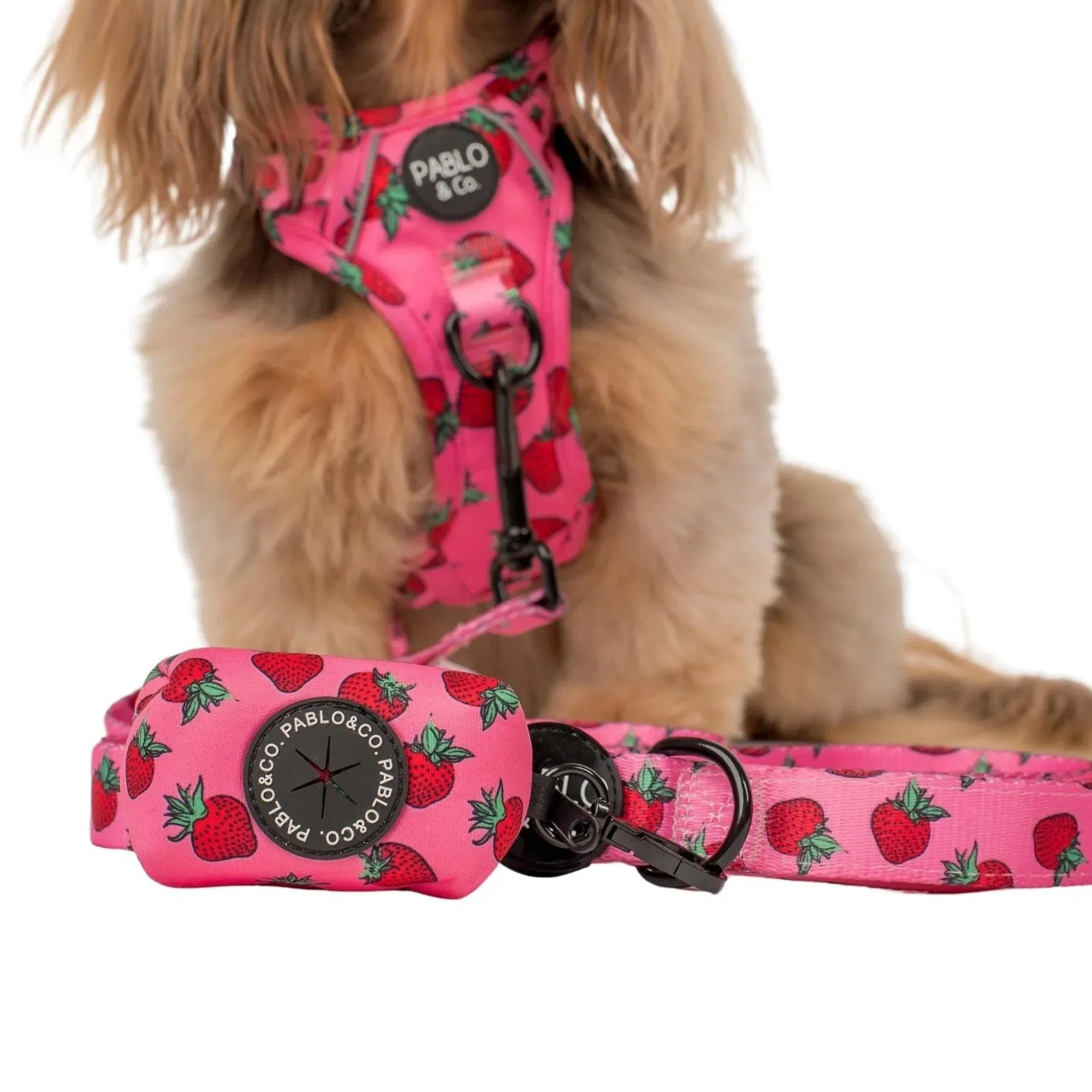 Strawberries Poop Bag Holder