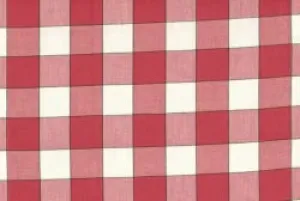Vintage Look Red Buffalo Check Toweling